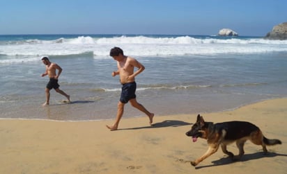 La Comisión Federal para la Protección contra Riesgos Sanitarios (Cofepris) informó que en víspera del periodo vacacional de Semana Santa se realizaron análisis de laboratorio realizados con agua de mar de 265 playas en 70 destinos turísticos de los 17 estados costeros; entre los resultados, aunque todas las playas oaxaqueñas resultaron aptas para recibir visitantes, dos arrojaron índices de contaminación. (ESPECIAL)
