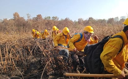 El fuego que inició el pasado 29 de marzo y que este miércoles fue reportado como totalmente liquidado, afectó 420 hectáreas de tular, 18 de zapotón y 5 de manglares.
(ARCHIVO)