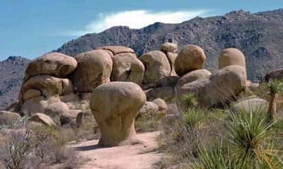 La Sierra del Sarnoso se localiza en los municipios de Lerdo, Mapimí y Gómez Palacio.