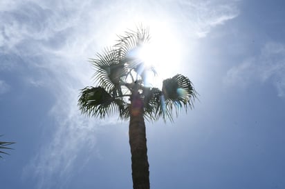 Se superan los 40 grados centígrados en Torreón; el Cañón de Fernández, en el municipio de Lerdo, ya alcanzó los 42 grados.