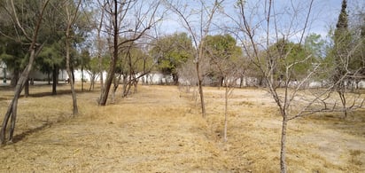 El Parque Las Auras es uno de los pulmones en La Laguna. (DIANA GONZÁLEZ)