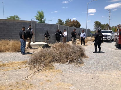 Una cría de oso fue abatida a balazos por un hombre armado en el patio posterior de una vivienda de la colonia Las Palmas, un sector ubicado en la periferia al sudoriental de Monclova. (SERGIO A. RODRÍGUEZ)