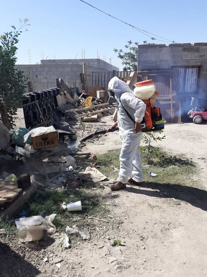 Entre las acciones para prevenir casos de dengue están las fumigaciones intradomiciliarias y la entrega de abate. (EL SIGLO DE TORREÓN) 