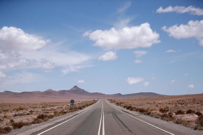 El investigador español Carlos Pedrós-Alió ha recopilado la sorprendente vegetación del desierto de Atacama (al norte de Chile), el más cálido del mundo y que alberga 2,500 especies vegetales, de las que casi la mitad son endémicas. (ARCHIVO) 
