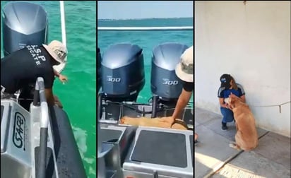  Luego de haber sido rescatada a 300 metros de la playa de este municipio costero, por parte de Bomberos de Vigilancia Marítima de la Secretaría de Seguridad Pública (SSP), la perrita Wera ya está con su familia. (ESPECIAL)