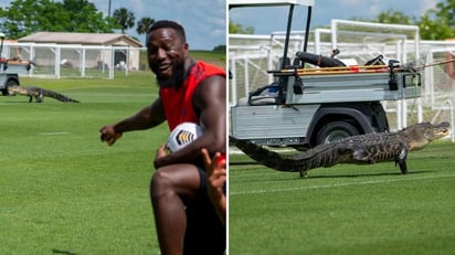 Cruz Azul y Toronto FC se enfrentarán este martes en el partido de ida de cuartos de final de la Liga de Campeones de la Concacaf, en el Raymund James Stadium de Florida. (ESPECIAL)