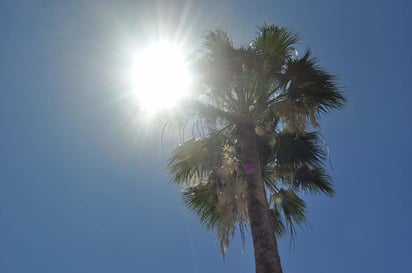 A causa de las altas temperaturas que se han registrado en la entidad, la Secretaría de Salud emitió recomendaciones, ya que el intenso calor puede provocar diarrea, vómito, mareos y dolor de cabeza.