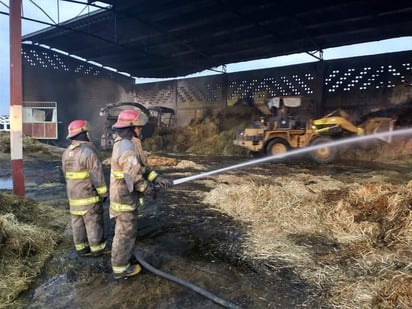 Se reportaron como pérdidas 10 toneladas de avena, 10 toneladas de heno, otras 10 toneladas de rastrojo molido y 20 toneladas de alfalfa. (EL SIGLO DE TORREÓN)