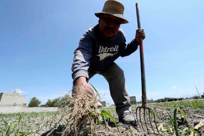 Las 13 presas del Estado de México se encuentran, en promedio, por debajo de 30 % de su capacidad. (ARCHIVO) 