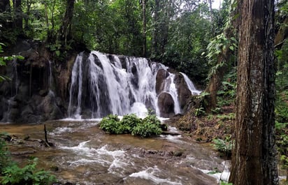 Grupos indígenas de la región de la Mosquitia de Honduras denunciaron los severos daños que le están causando extraños a la Biosfera del Río Plátano, patrimonio de la humanidad, con la construcción de carreteras y pistas de aterrizaje, que se han incrementado durante la pandemia. (ARCHIVO) 
