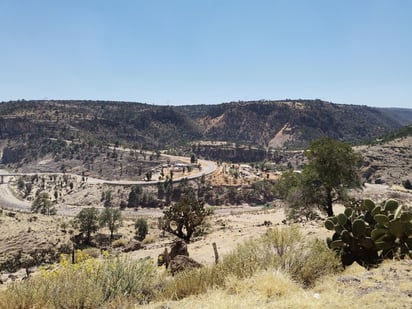 La Dirección de Desarrollo Rural ve situación grave por sequía. (EL SIGLO DE TORREÓN) 