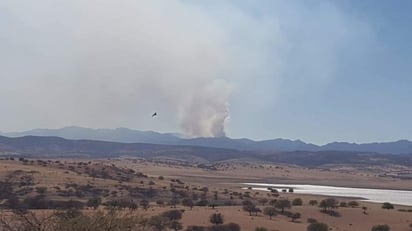 La Conafor informó la presencia de 23 incendios activos en 11 entidades del país. (EL SIGLO DE TORREÓN) 