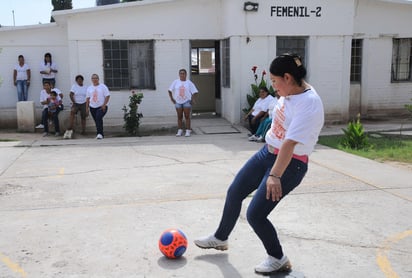 De acuerdo con el Diagnóstico Nacional de Supervisión Penitenciaria 2020, en 30 de los 113 centros estatales visitados a nivel nacional, se observaron deficiencias en la atención a mujeres y/o menores que viven con ellas.