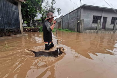 De acuerdo con un recorrido de las autoridades municipales, el agua entró a las viviendas en las zonas bajas, por lo que se establecieron dos albergues: uno en el Auditorio Municipal y otro en la Escuela Primaria Niños Héroes.