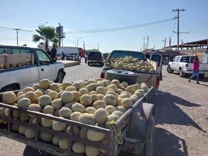 Con tendencia a la baja, el precio del melón y sandía. (EL SIGLO DE TORREÓN) 