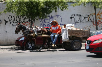 Los animalistas solicitaron la reforma al artículo 327 del Código Penal, luego de que en la emergencia sanitaria por COVID-19 aumentaron en 150 por ciento las agresiones y abandono de animales de compañía.