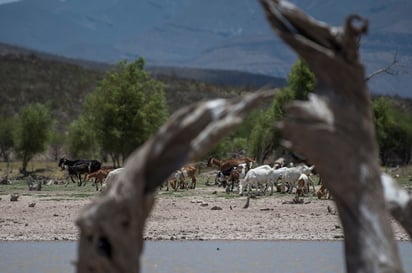 En México, según la Ley de Desarrollo Rural Sustentable, el concepto de desertificación se aplica 'a todos los ecosistemas existentes'.