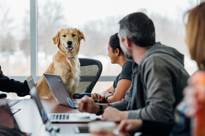 Puede aumentar el rendimiento de los empleados gracias a que disminuye su estrés de forma más rápida. (ESPECIAL)