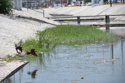 Brota agua en el río Monclova; creían que era de la red de Simas de ambas ciudades.