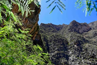 Daniel Ríos Reyna, subdirector de Gestión Integral de Riesgos de Protección Civil y coordinador de la dependencia en la región Laguna de Durango, hizo un llamado a las personas que gustan de practicar actividades de senderismo para que tomen las medidas necesarias para prevenir accidentes y salvaguardar sus vidas. (DIANA GONZÁLEZ)