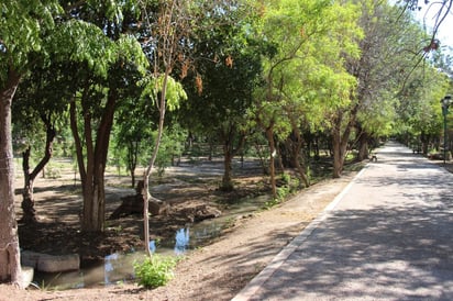 La campaña está dirigida en atender las solicitudes de los habitantes que requieren un árbol. (ARCHIVO)