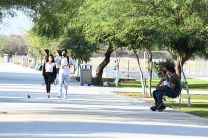 Uno de cada cuatro laguneros mayores de 15 años enfrenta una condición de rezago educativo, es decir, no saben leer ni escribir o no concluyeron su educación básica, lo que se convierte en un obstáculo para tener un desarrollo profesional adecuado y acceder a sueldos competitivos. (ARCHIVO)