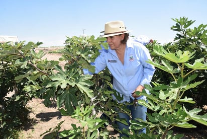 Los productos de la Hacienda Doña Mary actualmente se comercializan de forma local. (JESÚS GALINDO)