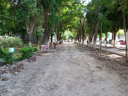 Avanzan los trabajos en el Parque Victoria del municipio de Lerdo.