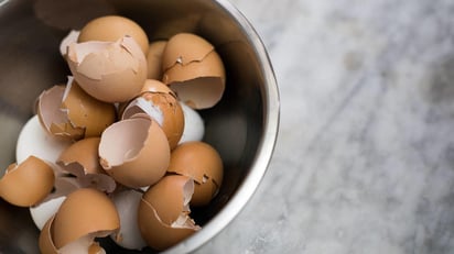 Uno de los alimentos de origen animal predominantes en la dieta de los mexicanos es el huevo, pues la variedad de combinaciones que se pueden hacer con este alimento es inmensa; además no sólo cae bien en el desayuno, también en las comidas, como complemento de ensaladas o para cenarlo cocido.