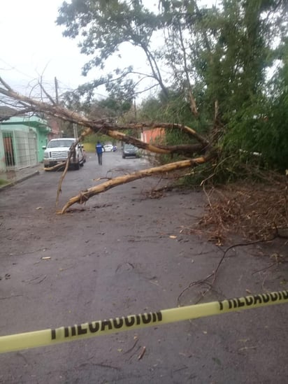 Las calles donde se forman grandes encharcamientos y en los vados por donde cruzan con fuerza los arroyos, fueron cerradas para evitar desastres.

