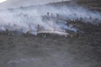 Debido a que ya se cuenta con una zona en vías de recuperación, después del último incendio ocurrido en el año 2018, se va a llevar a cabo una reforestación por parte de la Asociación de Protección a la Fauna (Profauna) en la parte alta del Cañón de San Lorenzo de la Sierra de Zapalinamé), para la cual ya se cuenta con voluntarios. (ARCHIVO)