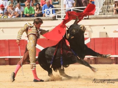 Un sonoro triunfo, se apuntó esta mañana el novillero lagunero Arturo Gilio Quintero, quien volvió a demostrar la calidad de su toreo, ahora en Beziers, Francia, donde estuvo acartelado en una novillada matutina.