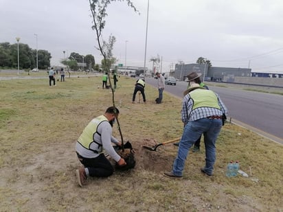 La ciudadanía respondió a la campaña de reforestación en GP. (CORTESÍA)