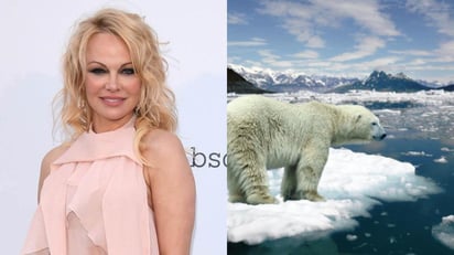 La actriz Pamela Anderson se une a la lucha a favor de la protección de las aguas de la Antártida, impulsado por el grupo 'Antarctica2020', que reúne a relevantes personajes de todos los ámbitos que quieran proteger el ecosistema antártico, según informa dicho colectivo este miércoles a través de un comunicado. (ESPECIAL) 