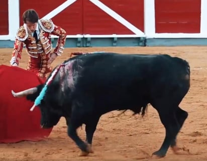 El novillero lagunero Arturo Gilio Quintero volvió a sufrir un fuerte golpe que le ocasionó otro esguince cervical y se mantendrá fuera de circulación durante un corto lapso, lesión que sufrió durante la novillada que lidió el pasado fin de semana en Santoña, España. (ARCHIVO) 
