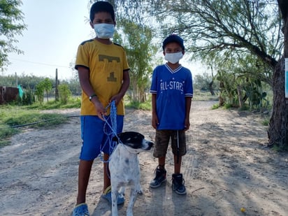 Se invita a dueños de perros y gatos para que asistan. (EL SIGLO DE TORREÓN)