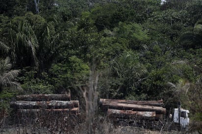 La deforestación en la Amazonía brasileña cayó en agosto por segundo mes consecutivo, pero continúa en niveles altos, según las alertas registradas por el Instituto Nacional de Pesquisas Espaciales (Inpe). (ARCHIVO) 
 