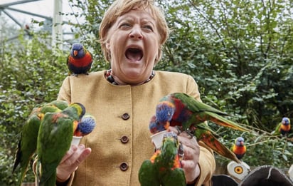 Mientras alimentaba a las aves, uno de los loros picoteó en la mano a la gobernante alemana (ESPECIAL) 