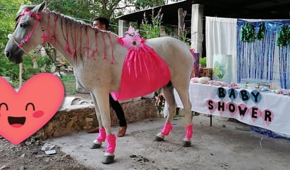 Pese a no ser humana, la familia de la yegua 'Camila', en Yucatán, decidió festejarle su baby shower ya que pronto se convertirá en mamá (FACEBOOK)