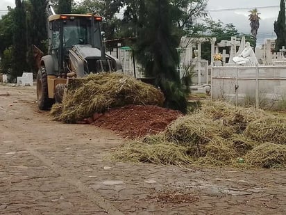 Esperan retirar 400 toneladas antes de que acabe octubre.