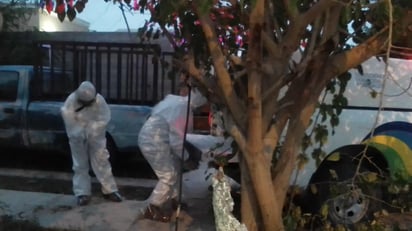 Habitantes del fraccionamiento Castilagua de Lerdo encuentran a uno de sus vecinos sin vida, fueron los fétidos olores que emanaban de la casa del fallecido los que alarmaron a los denunciantes.
