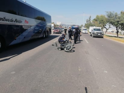 Canino se atraviesa al paso de un motociclista en el periférico de Gómez Palacio, pese a las maniobras que el hombre realizó para no arrollar al animal, terminó por impactarlo para después el caer al pavimento lesionado.
