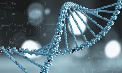 Un gen recién identificado en la mosca de fruta, el Tango 10, es fundamental para los ritmos diarios del comportamiento, según un estudio cuyos resultados tienen implicaciones para los seres humanos y que publica la revista PNAS. (ESPECIAL) 
 