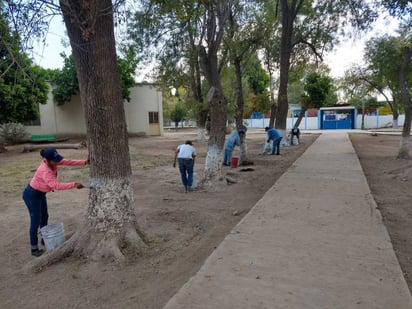 Llaman a la población a sumarse a las campañas de limpieza. (CORTESÍA)