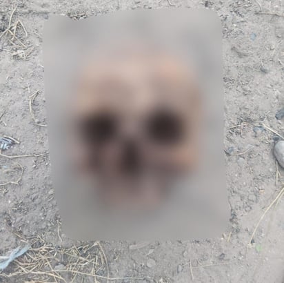 Se presume que fue sacado por animales de un cementerio cercano. (EL SIGLO DE TORREÓN)