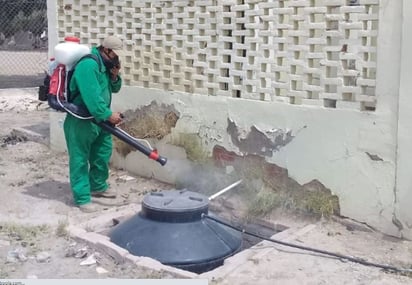 Acuña es el municipio de Coahuila con más personas que se han infectado del virus del dengue.