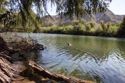 Debido a los escurrimientos que aprovechan los ejidatarios y al agua rodada, es que ellos disponen de agua casi todo el año. (EL SIGLO DE TORREÓN)