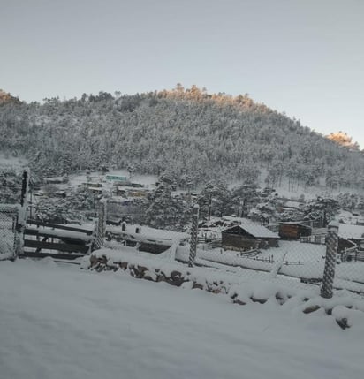 Una total de 94 localidades de 9 municipios de Durango registraron caída de nieve.