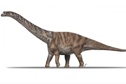 Sus dimensiones, con casi 18 metros de largo y un peso estimado de 14 toneladas, lo convierten en el mayor tipo de dinosaurio del dominio iberoarmoricano. (ESPECIAL) 