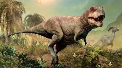 El estudio que publica Evolutionary Biology y firman científicos estadounidenses revela diferencias físicas en el fémur, otros huesos y estructuras dentales que podrían sugerir que los especímenes del Tyrannosaurus rex deben ser recategorizados en tres especies distintas. (ESPECIAL) 